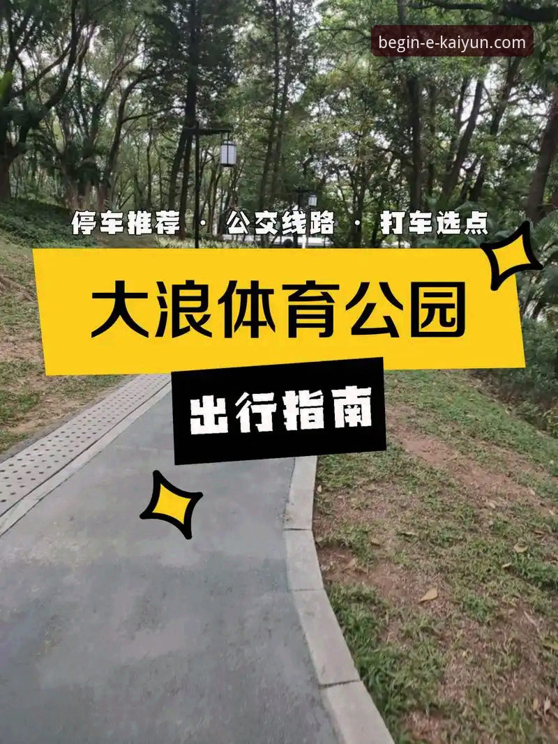 开云体育平台使用教程：从下载到享受赛事直播的完整指南